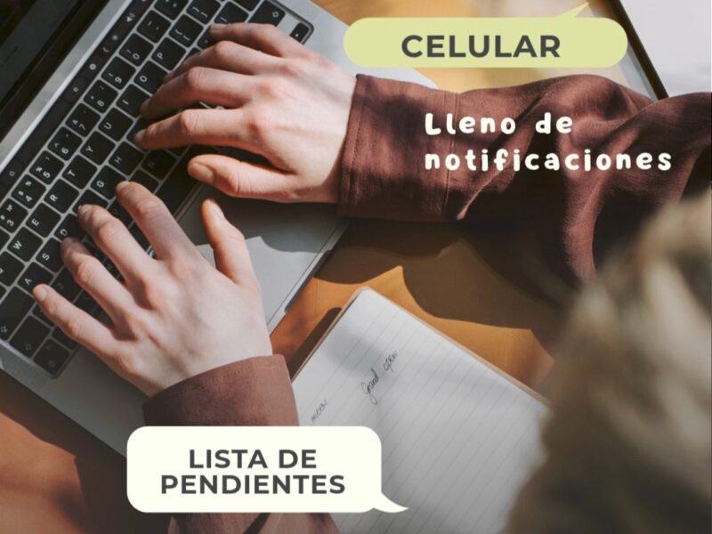 Creador de contenido para redes sociales